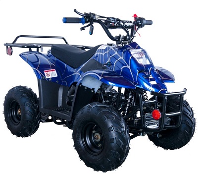 HAWK REX 110CC ATV 6" TIRE BLUE SPIDER